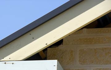 Chazey Heath fascia repairs