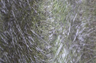 Chazey Heath fibreglass roof work